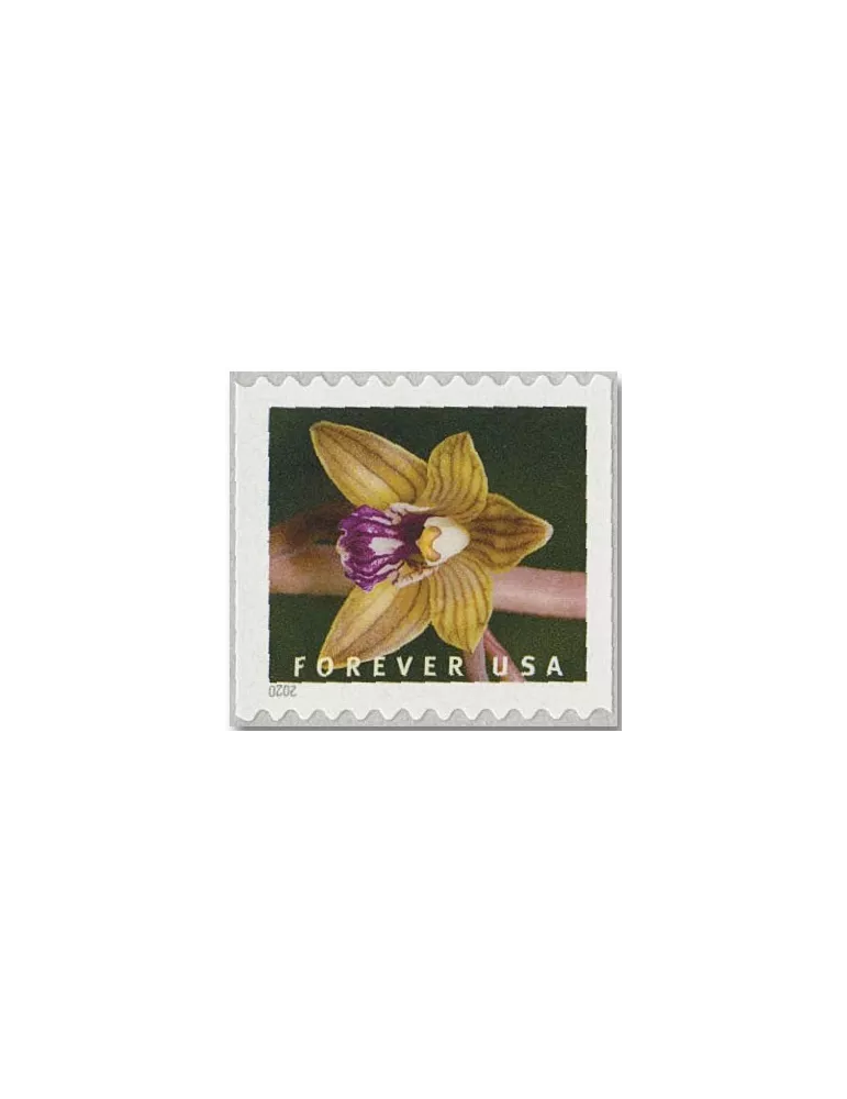n° 5292a/5301a - Timbre ETATS-UNIS D´AMERIQUE Poste