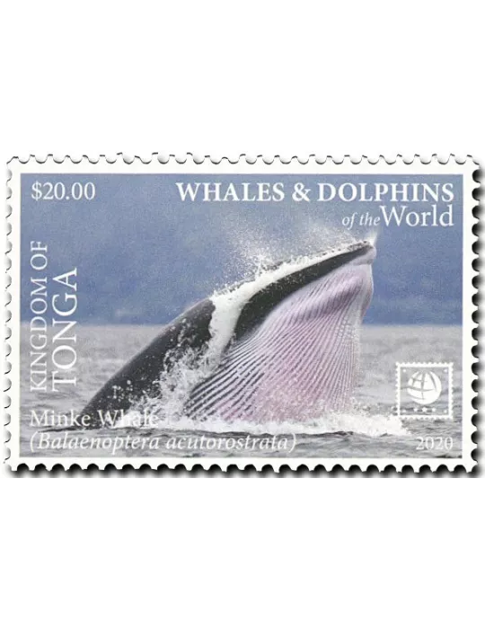 n° 1582/1585 - Timbre TONGA Poste