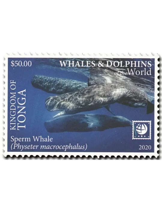 n° 1582/1585 - Timbre TONGA Poste