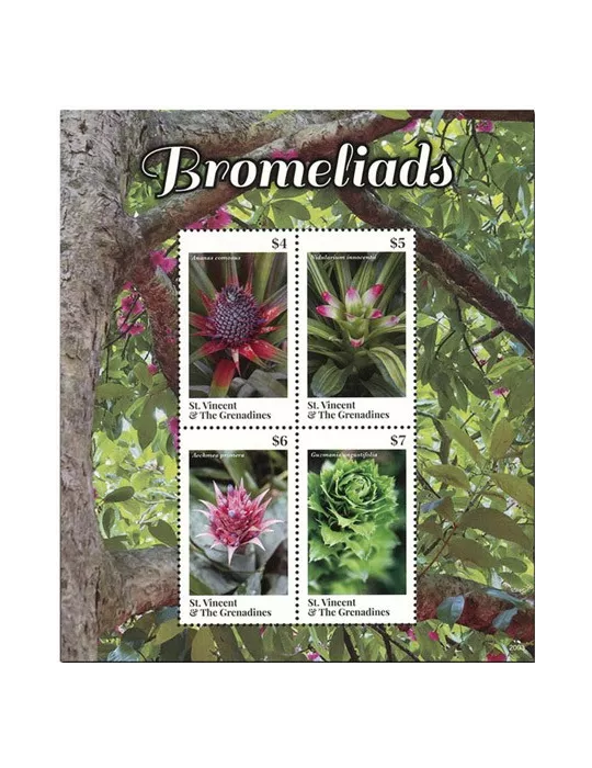 n° 6445/6448 - Timbre SAINT-VINCENT Poste