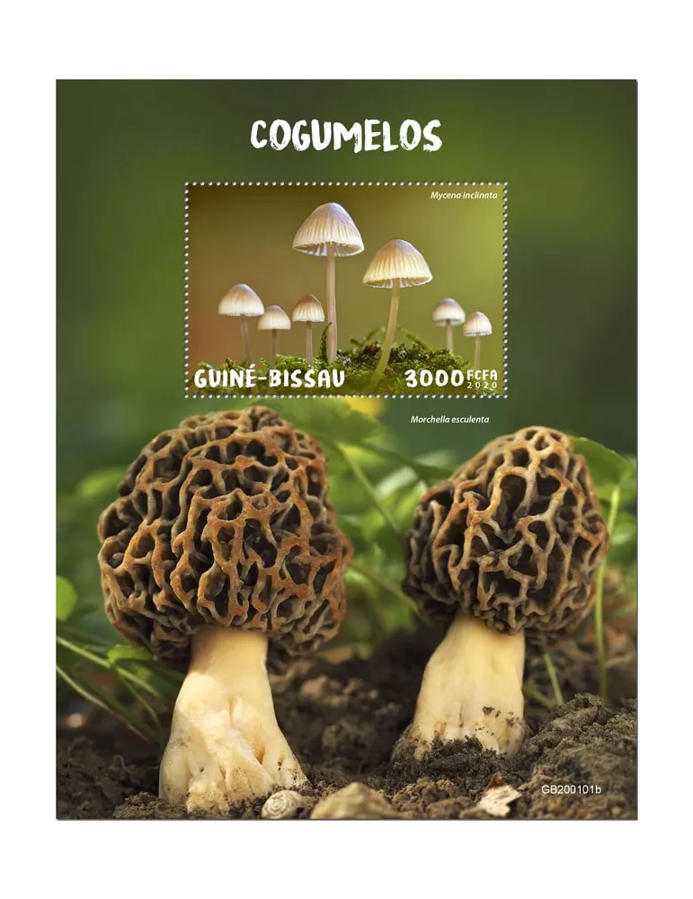 n° 1614 - Timbre GUINEE-BISSAU Blocs et feuillets