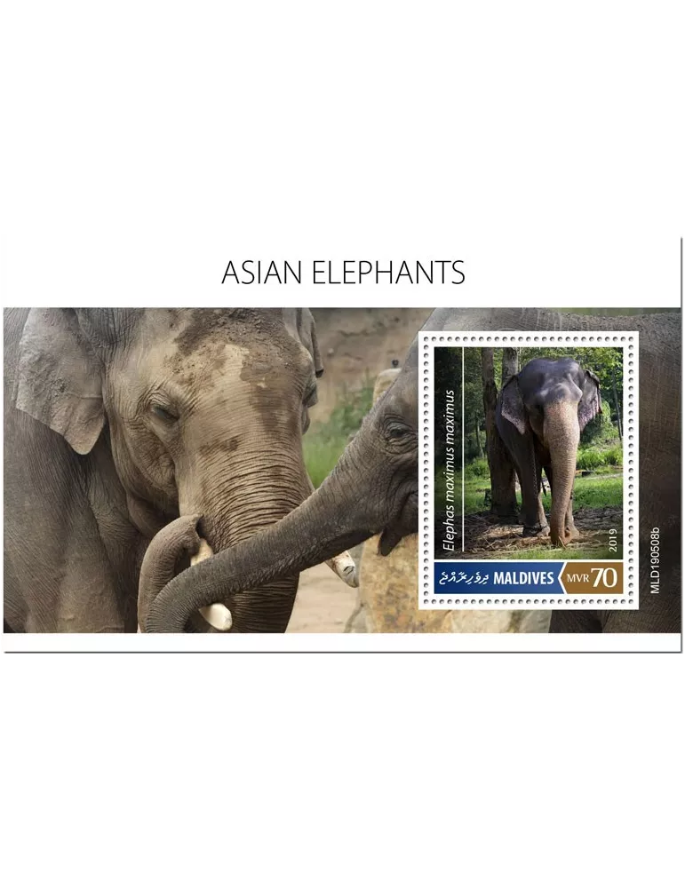 n° 1346 - Timbre MALDIVES Blocs et feuillets