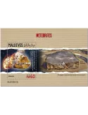 n° 1365 - Timbre MALDIVES Blocs et feuillets