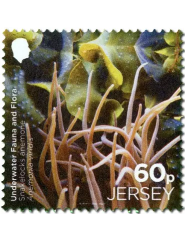 n° 2313/2814 (la paire) + n° 2815 (la série) - Timbre JERSEY Poste