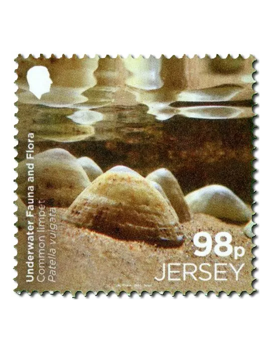 n° 2313/2814 (la paire) + n° 2815 (la série) - Timbre JERSEY Poste