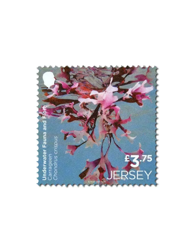 n° 2313/2814 (la paire) + n° 2815 (la série) - Timbre JERSEY Poste