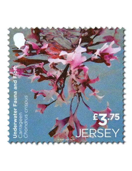 n° 2313/2814 (la paire) + n° 2815 (la série) - Timbre JERSEY Poste