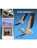 n° 1410 - Timbre MOZAMBIQUE Blocs et feuillets