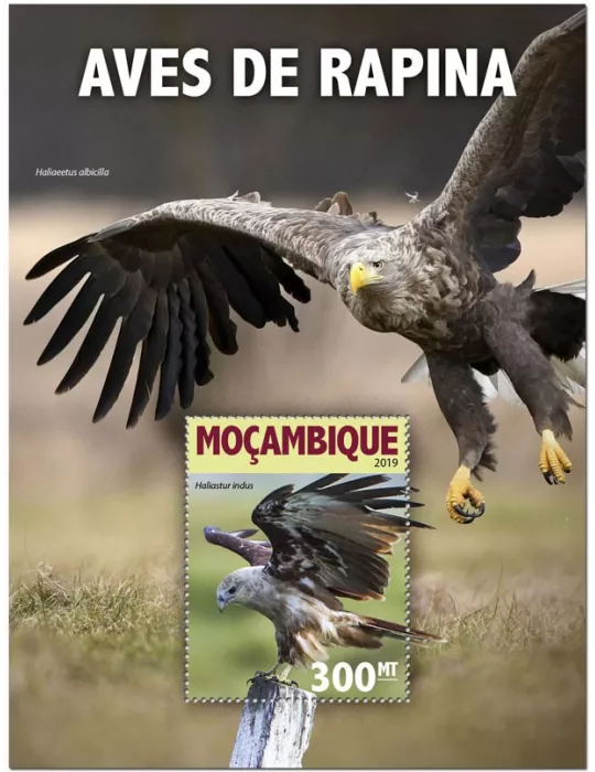 n° 1450 - Timbre MOZAMBIQUE Blocs et feuillets