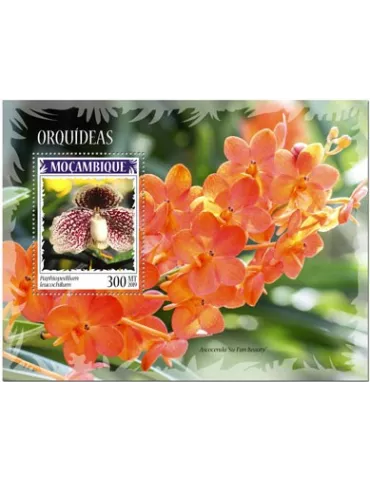 n° 1459 - Timbre MOZAMBIQUE Blocs et feuillets