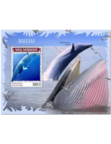 n° 1463 - Timbre MOZAMBIQUE Blocs et feuillets