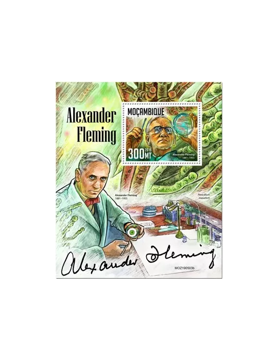 n° 1490 - Timbre MOZAMBIQUE Blocs et feuillets