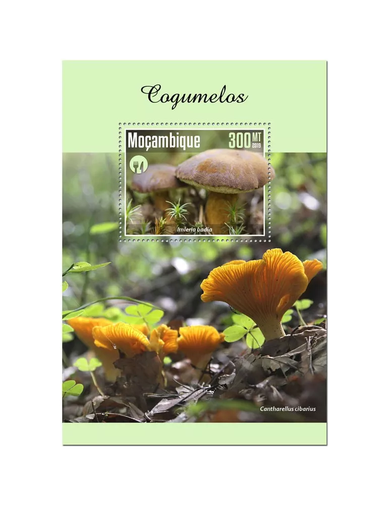 n° 1499 - Timbre MOZAMBIQUE Blocs et feuillets