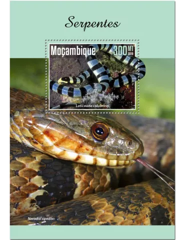 n° 1501 - Timbre MOZAMBIQUE Blocs et feuillets