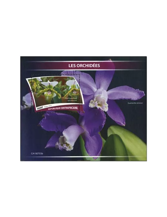 n° 1509 - Timbre CENTRAFRIQUE Blocs et feuillets