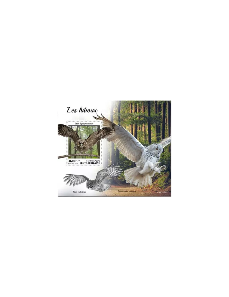 n° 1575 - Timbre CENTRAFRIQUE Blocs et feuillets