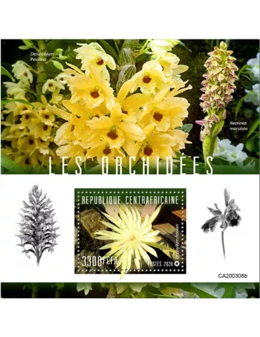 n° 1601 - Timbre CENTRAFRIQUE Blocs et feuillets