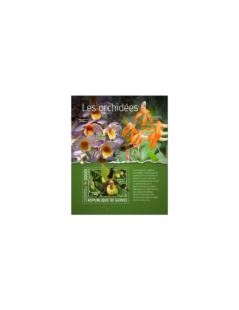 n° 2423 - Timbre GUINEE Blocs et feuillets