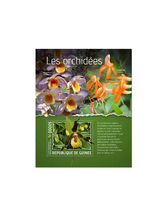 n° 2423 - Timbre GUINEE Blocs et feuillets