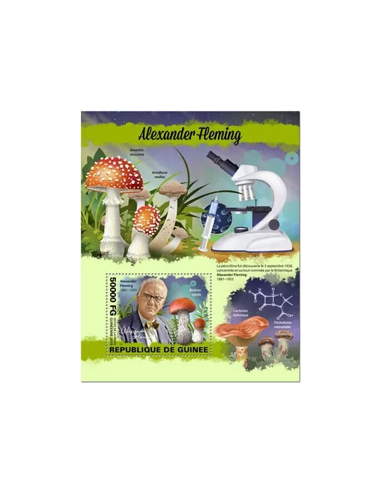 n° 2438 - Timbre GUINEE Blocs et feuillets