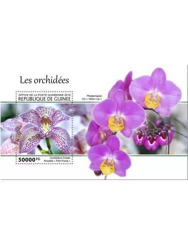 n° 2466 - Timbre GUINEE Blocs et feuillets