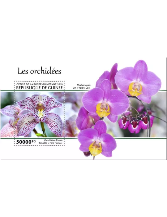 n° 2466 - Timbre GUINEE Blocs et feuillets