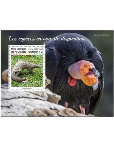 n° 2500 - Timbre GUINEE Blocs et feuillets