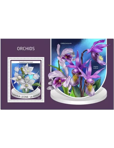 n° 1501 - Timbre SIERRA LEONE Blocs et feuillets