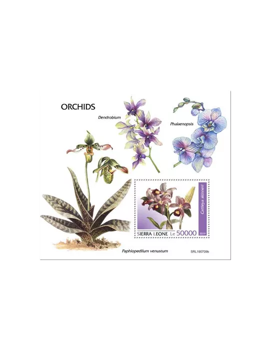 n° 1751 - Timbre SIERRA LEONE Blocs et feuillets