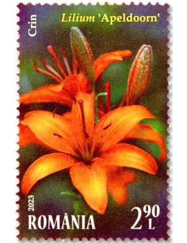 n° 7009/7012 - Timbre ROUMANIE Poste