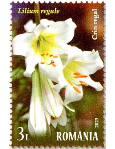 n° 7009/7012 - Timbre ROUMANIE Poste 2