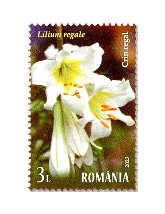 n° 7009/7012 - Timbre ROUMANIE Poste