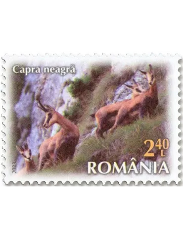 n° 7056/7061 - Timbre ROUMANIE Poste 2