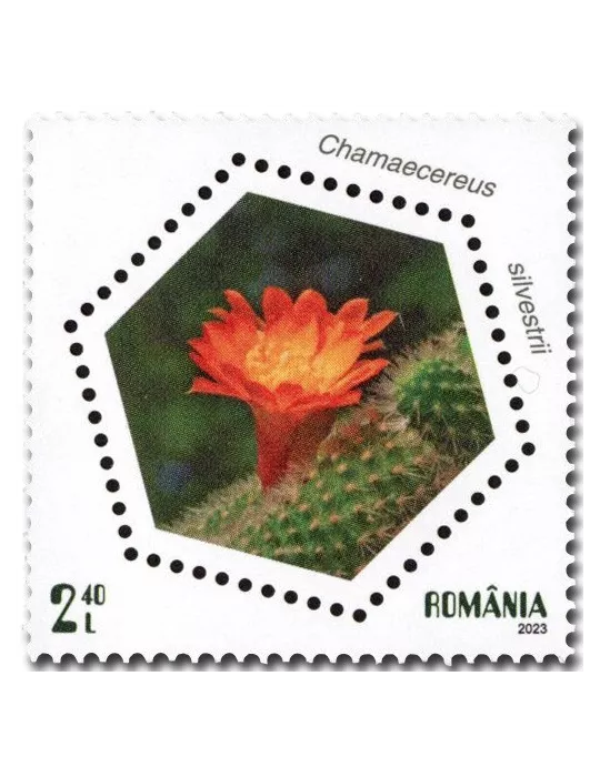 n° 7074/7077 - Timbre ROUMANIE Poste