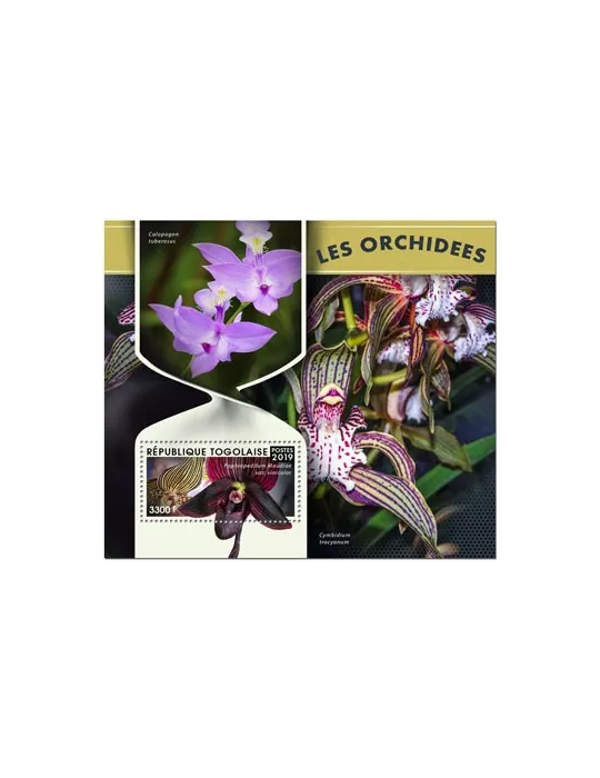 n° 1497 - Timbre TOGO Blocs et feuillets