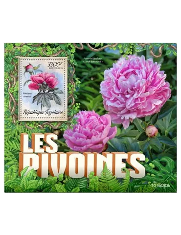 n° 1535 - Timbre TOGO Blocs et feuillets