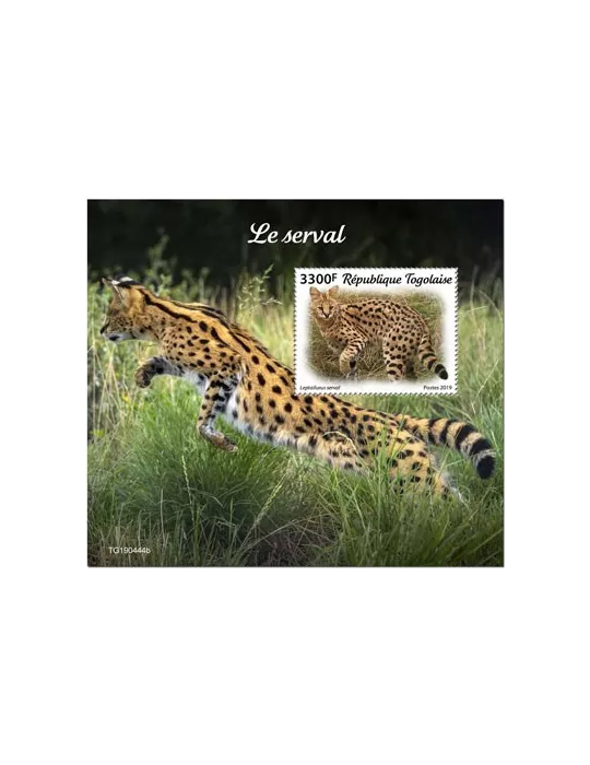 n° 1717 - Timbre TOGO Blocs et feuillets