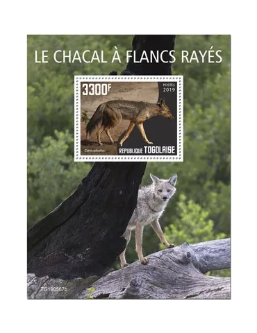 n° 1808 - Timbre TOGO Blocs et feuillets