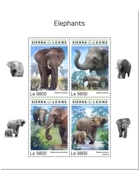 n° 8110/8113 - Timbre SIERRA LEONE Poste