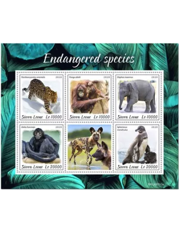 n° 9681/9685 - Timbre SIERRA LEONE Poste