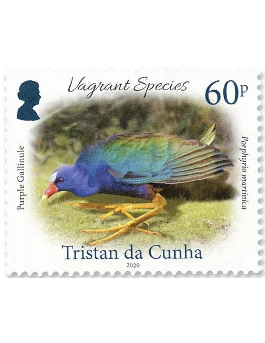 n° 1256/1259 - Timbre TRISTAN DA CUNHA Poste