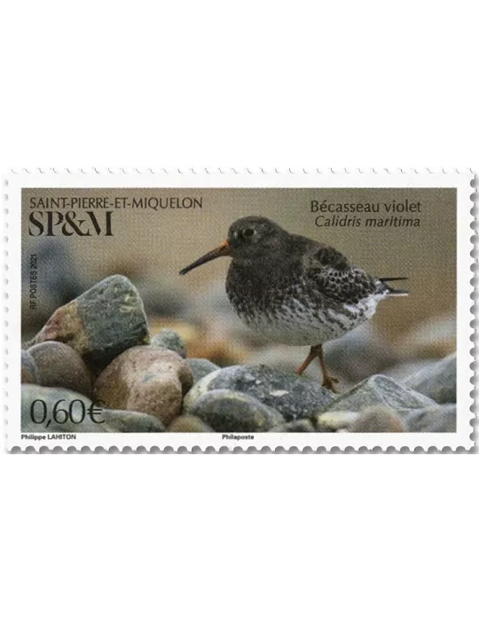 n° 1253 - Timbre Saint-Pierre et Miquelon Poste