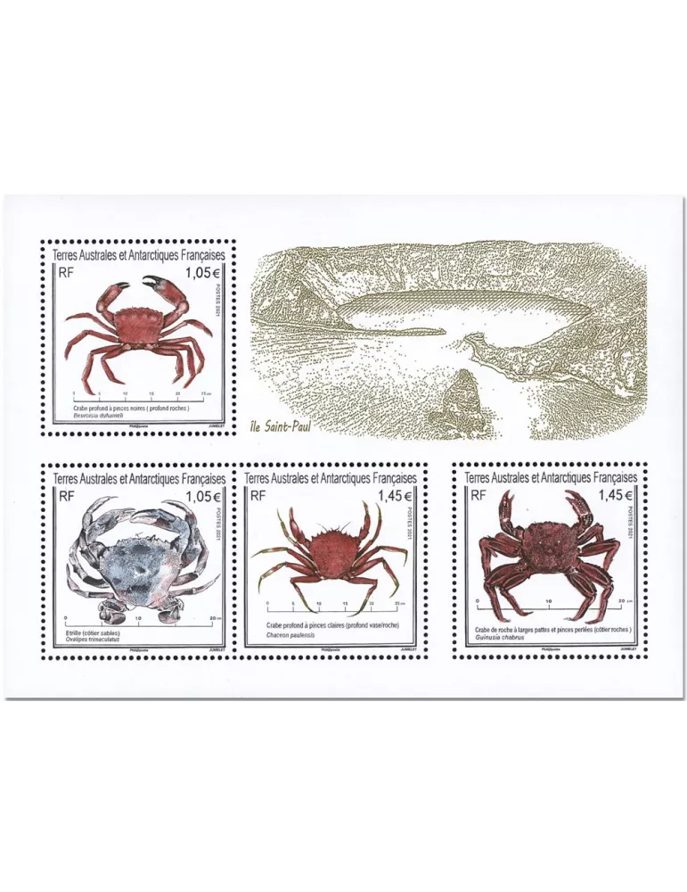 n° F965 - Timbre TAAF Poste