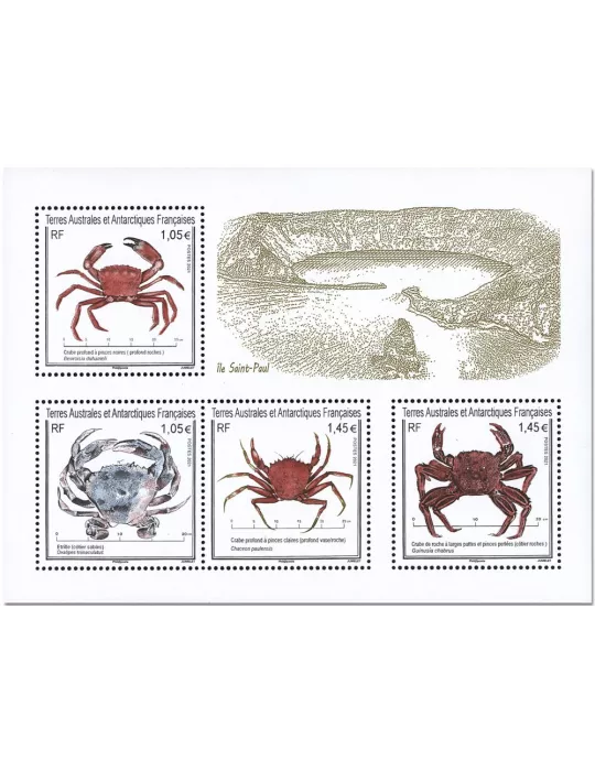 n° F965 - Timbre TAAF Poste