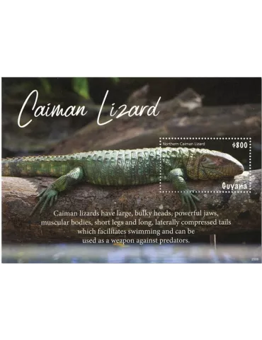 n° 693 - Timbre GUYANA Blocs et feuillets