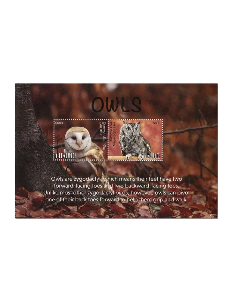 n° 696 - Timbre GUYANA Blocs et feuillets