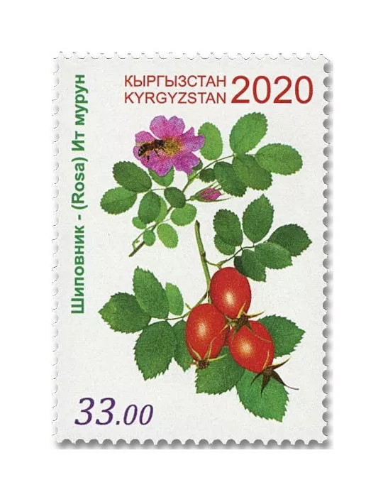 n° 834/836 - Timbre KIRGHIZISTAN (Poste Kirghize) Poste