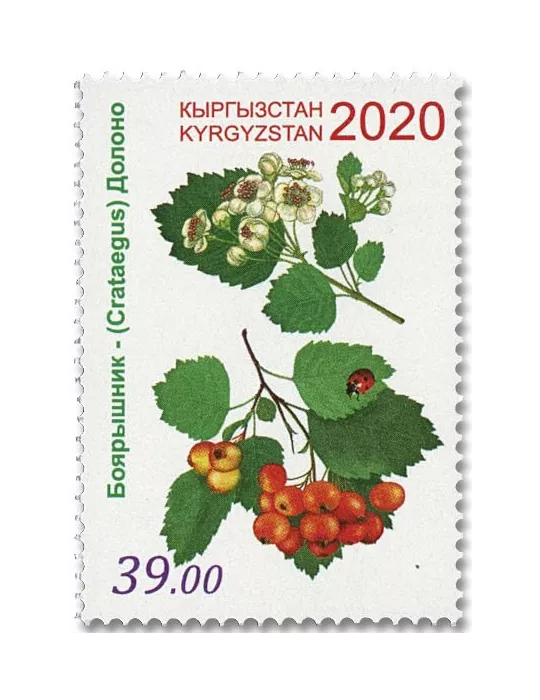 n° 834/836 - Timbre KIRGHIZISTAN (Poste Kirghize) Poste