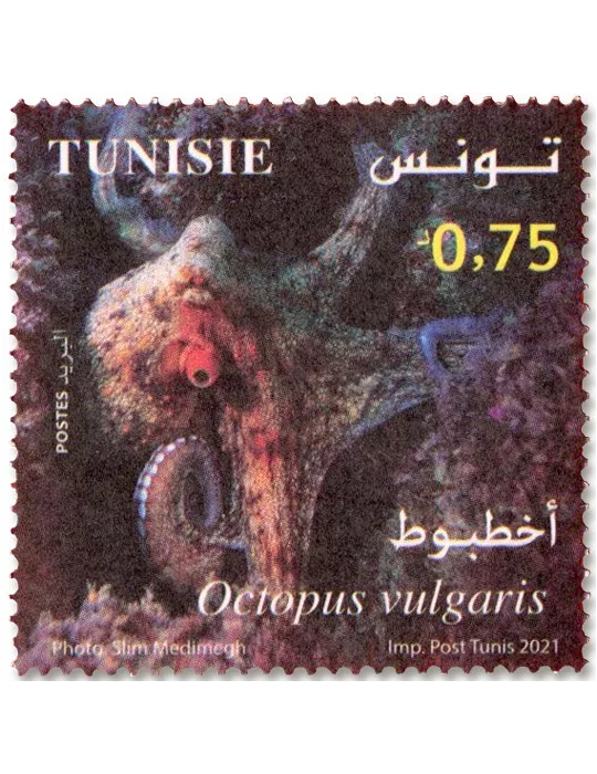 n° 1950/1953 - Timbre TUNISIE Poste