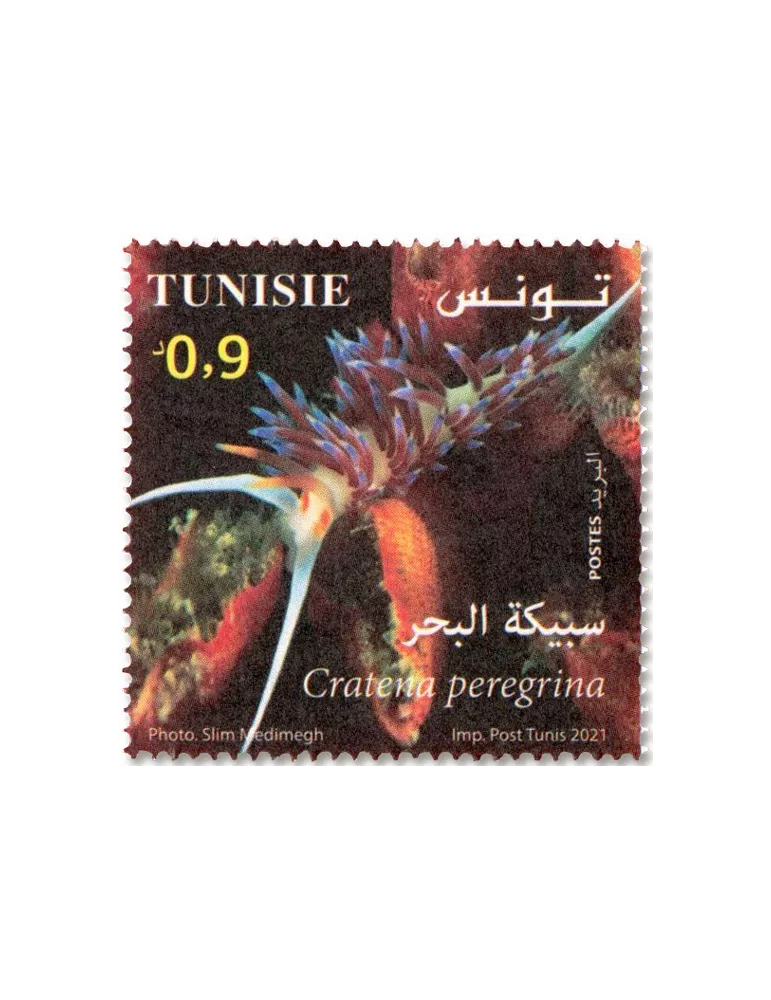 n° 1950/1953 - Timbre TUNISIE Poste